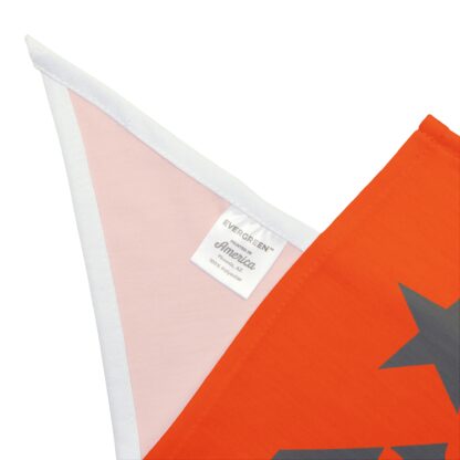 QRD Lonestar Pet Bandana - Image 3